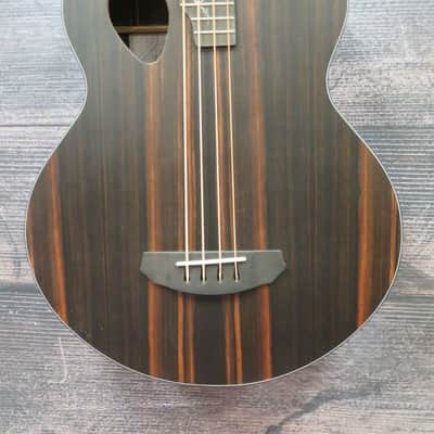 Michael Kelly Dragonfly 4 Acoustic Bass Guitar (Cleveland, OH) image 4