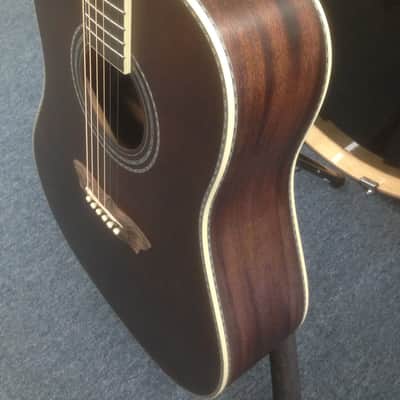 New Washburn Vintage Series WSJ124K Acoustic Guitar with Hard Shell Case image 4