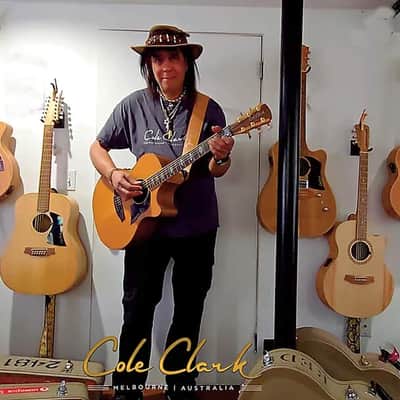 Cole Clark Fat Lady FL2EC-RH-BLBL-Hum Blackwood Acoustic Electric Guitar Right-Handed w/ OHSC image 16