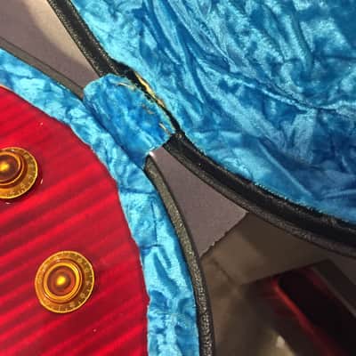Gibson Les Paul Snake Pit image 10