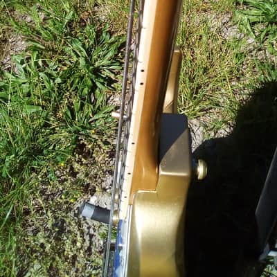 Eko Melody lefty bass 1972 gold image 3