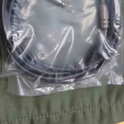 G103 Fat Boy 10Ft Straight Guitar Cord image 3