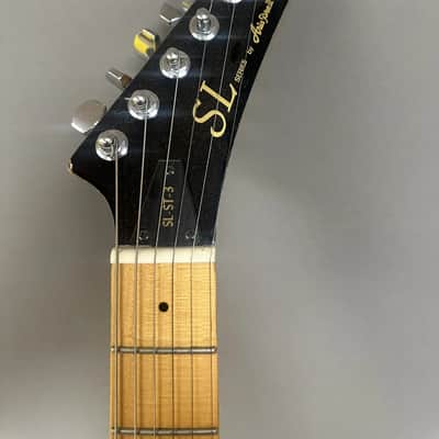 Aria Pro 1 SL Series 2009 image 4