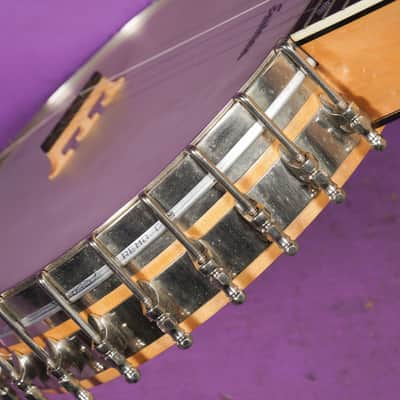 2010s Eastman Whyte Laydie-Style 5-String Openback Banjo (VIDEO! Fresh Work, Ready) image 17