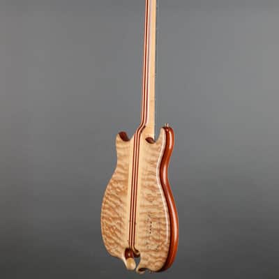 Alembic Series  II Five String Fretless Active Bass image 24
