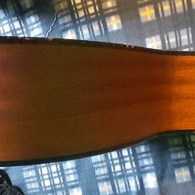 Eastman E100SS-LTD 2019 image 5