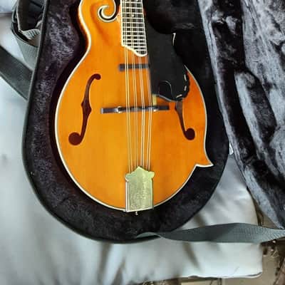 Epiphone MM-50E Professional Mandolin 2010s - Vintage Natural image 20