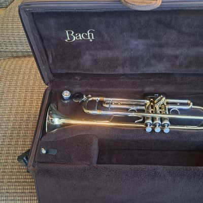 Bach Stradivarius 43 Trumpet image 2
