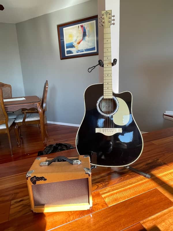 Esteban VL-100 Vintage Legacy Master Class Series 2010 Black image 1