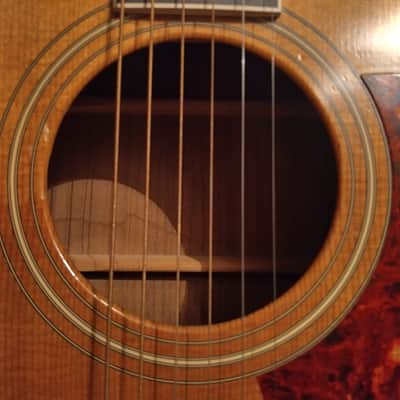 Taylor 422R Rosewood 1996 - 1997  Limited Edition image 5