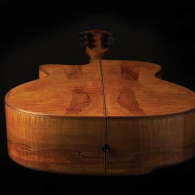 Washburn G66SCE Comfort Deluxe 66 Auditorium Cutaway Acoustic Electic Guitar. Spalted Maple Item ID: WCG66SCE-O-U image 4