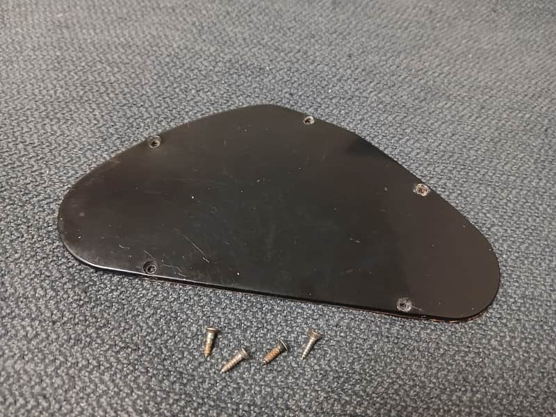 1969 Gibson Les Paul Personal/Professional Control Cover image 1