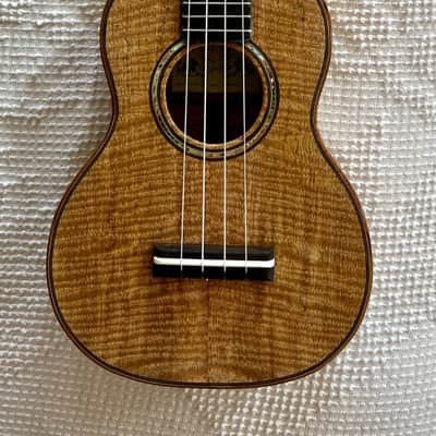 NEW 2025 David Gomes Concert Ukulele - Mango image 1
