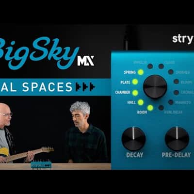 Strymon Big Sky MX incl. Strymon 9V 667mA Power Supply - Bundle Set image 8