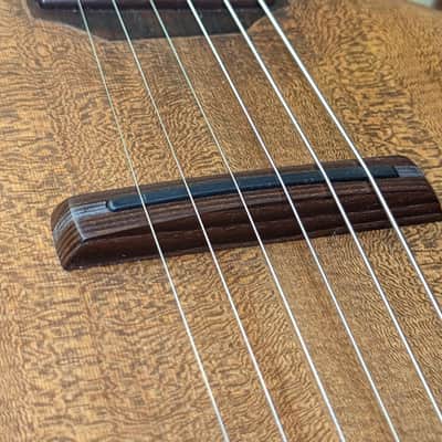 Ray Vincent Shell back guitar 2023 - Shellac and oil image 22