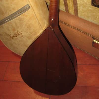 ~1920s SS Stewart Mandolin Natural image 5