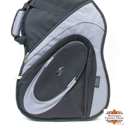 Ritter RCG700 Classic Electric Guitar Gig Bag image 1