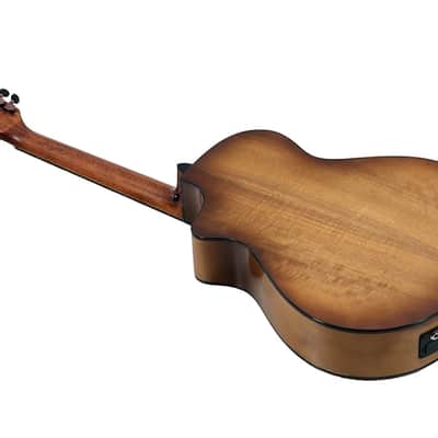 Breedlove Pursuit Exotic S CE Myrtlewood 12-String Concert Acoustic-Electric Guitar Regular Amber Burst image 2