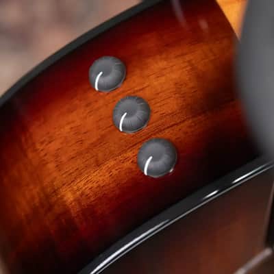 Taylor 224ce-K DLX Grand Auditorium Acoustic/Electric Guitar with Hardshell Case image 9