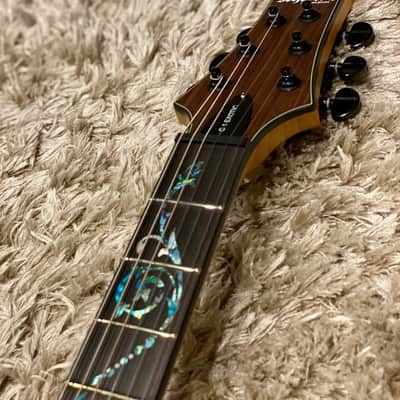 Schecter C-1 Exotic Ebony in Natural Satin image 4