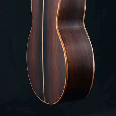 Lowden F-50 Brazilian Rosewood and Adirondack Spruce with Bevel NEW image 23