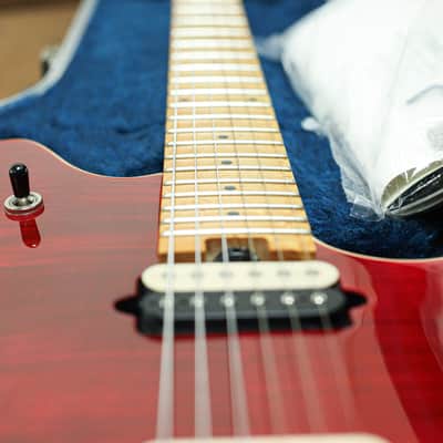 Immagine Peavey EVH Wolfgang 1996 | Transparent Red - 6