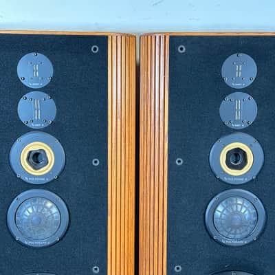 finity Kappa 9 - Top of the Line - Incredible Full-Range Speaker Pair image 3