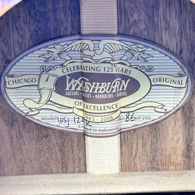 Washburn Vintage Series WSJ-124K Acoustic Guitar (Limited Edition of 250) image 8