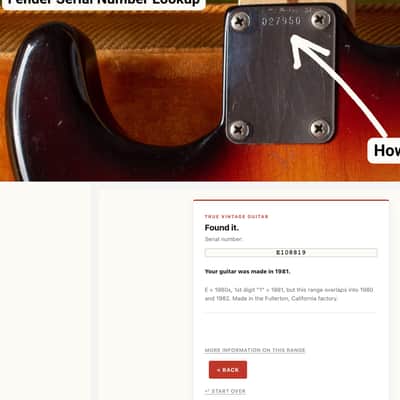 Fender Bullet Single Cutaway with Rosewood Fretboard 1981 image 15