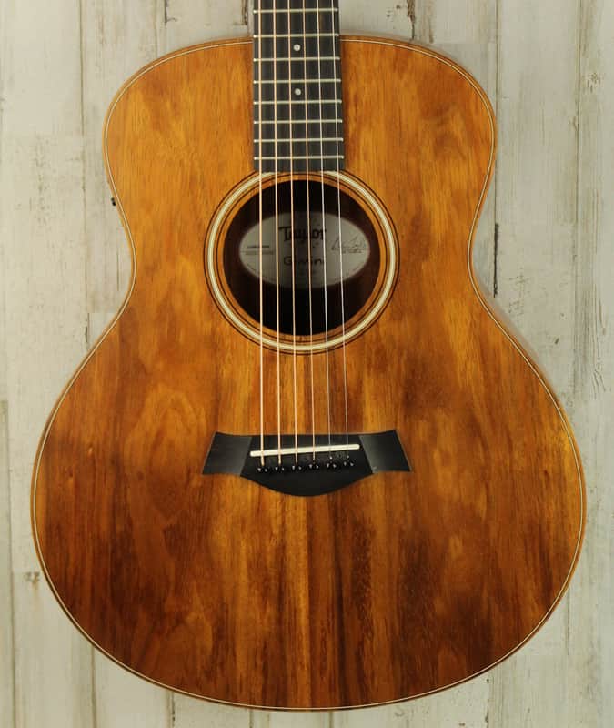 PROJECT Taylor GS Mini (096) image 1