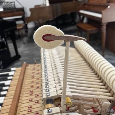 Steinway Model M 5'7" Grand Piano 1924 (Restored) - Satin Mahogany image 24