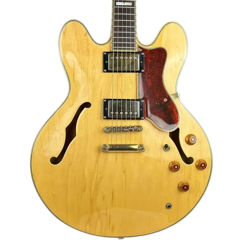 Epiphone Sheraton-II 2008 - Natural image 1