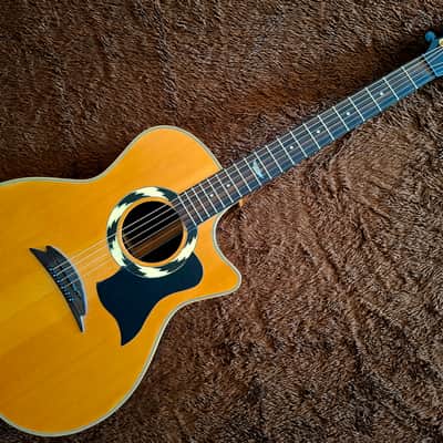 Hohner Striped Ebony Sides, Back & And Fretboard All Solid Woods Flat Top Acoustic Electric Dreadnought Steel String Guitar image 3