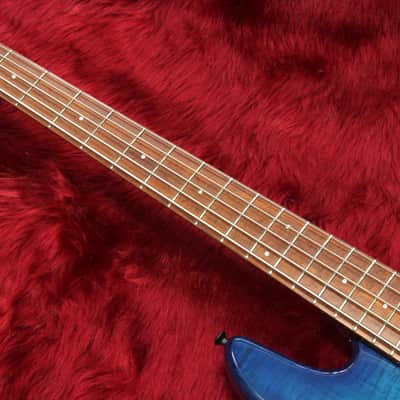 Fodera NYC Empire5 Graphite neck Lanepoor PU 4.82kg image 5