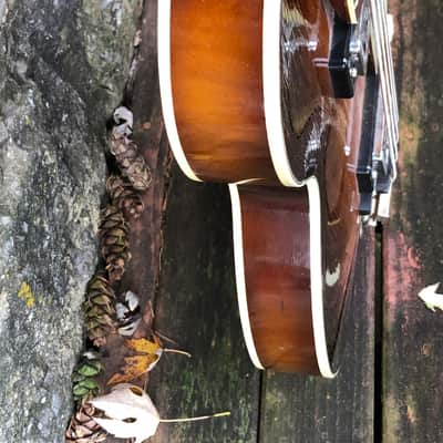 1965 Hofner Club 500/2 Sunburst image 8