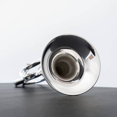 Yamaha YTR-8335IIGS Xeno Bb Trumpet with Gold Brass Bell (SN 5503xx) image 12