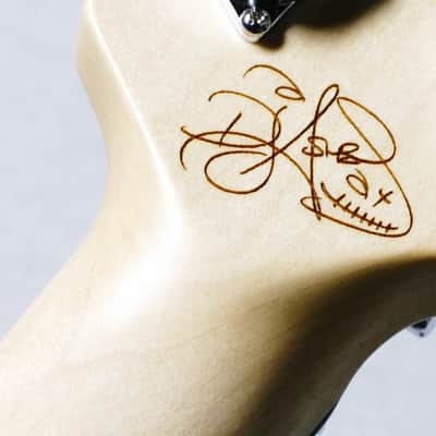 Schecter  USA Custom Shop DJ ASHBA Charcoal Gray 【Signed】【Sixx AM】【Guns N' Roses】 image 11