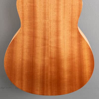 Taylor GS Mini-E Special Edition - Transparent Black image 4