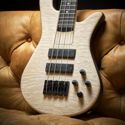 Spector NS-2 Bolt-On – Black & White Fade – Woodstock Custom Collection image 4