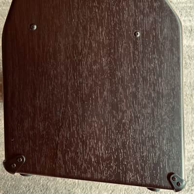 Boss ACS-PRO Acoustic Singer Pro 120w 1x8 Guitar Combo 2017 - Present - Brown image 8