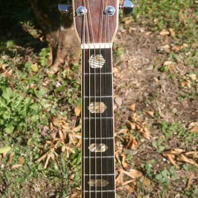 1975 Yairi YW-600 Dreadnought Guitar New Jacaranda Natural+Hard Case image 5