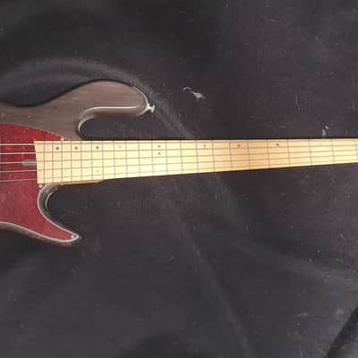 Lorita Bass Guitar 5 string Reference model image 1