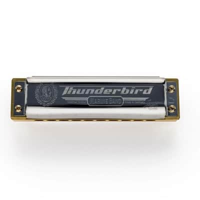 Hohner Marine Band Thunderbird 10 Hole Diatonic Harmonica, Low F - M201116 image 5