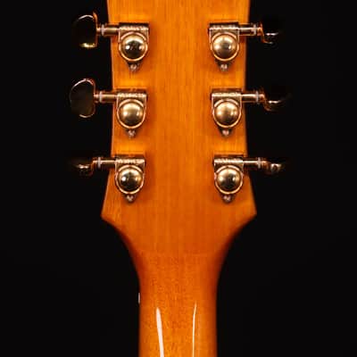 Epiphone Sheraton Hollow-Body Electric, Natural, Includes Premium Gig Bag image 10