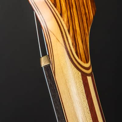 Alembic Series 1 Bass 1978 Natural image 7