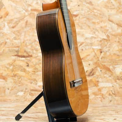 Kohno Masaru Professional 10Strings image 4