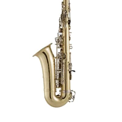 Selmer SAS301 Alto Sax Outfit image 3