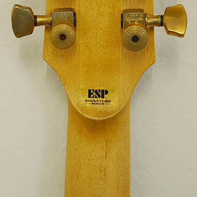 ESP Will Adler Warbird Custom Shop Distressed Black image 6