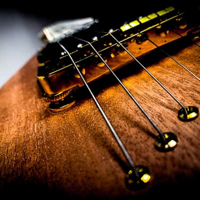 Jackson Randy Rhoads / Rhodes / Roads - Flying V 2026 - Natural Kona Wood Style image 15
