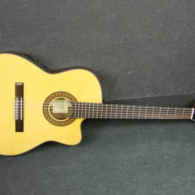 Salvador Ibanez GA5TCE-14-01 Thinline Classical Acoustic/Electric Guitar image 13
